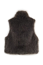 Willow Fur Vest