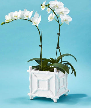 Bamboo Faux Cauchepot